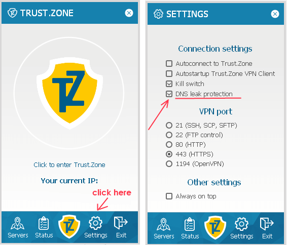 Trust.Zone no DNS leak