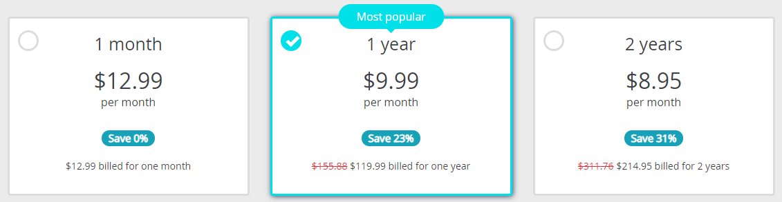 Perfect Privacy VPN pricing
