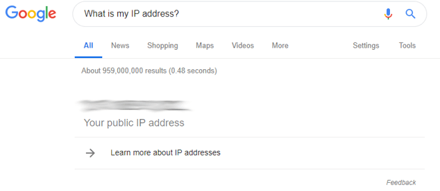 google IP check